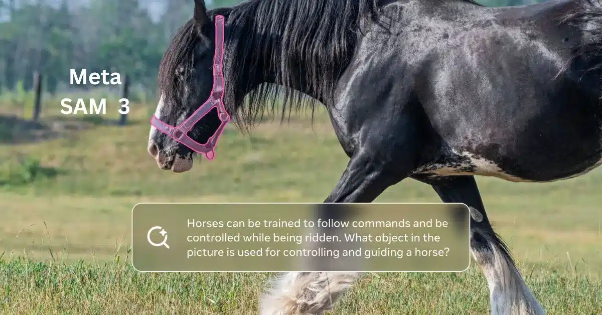 Meta SAM 3